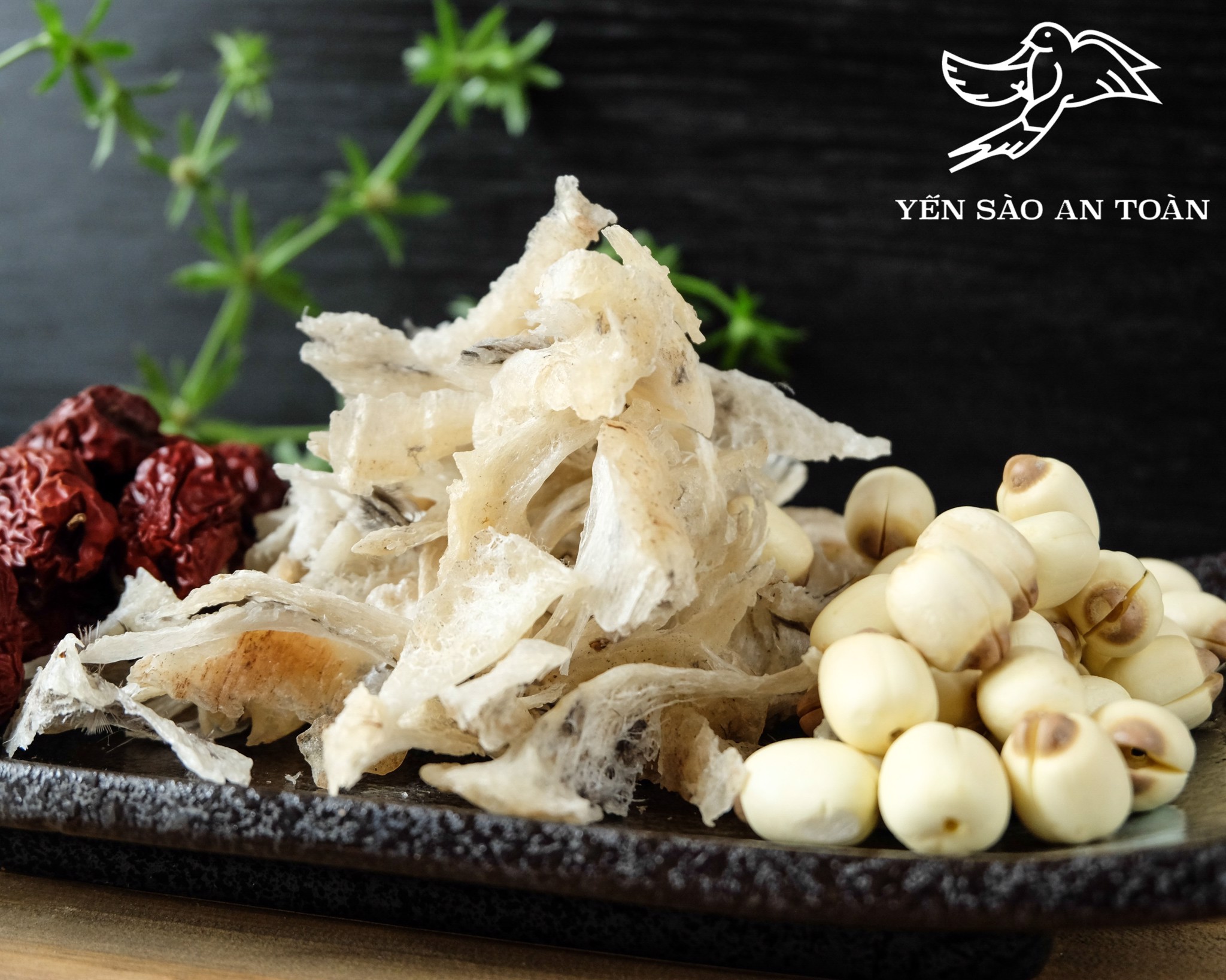 Trẻ ngủ ngon hơn với yến sào an toàn