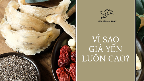 TOP 3 LÝ DO KHIẾN YẾN SÀO ĐẮT NHƯNG VẪN ĐƯỢC NHIỀU NGƯỜI TIN DÙNG