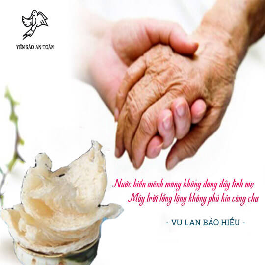 Yến Sào – Món quà thay lời yêu thương con gửi đến ba mẹ ngày Vu Lan