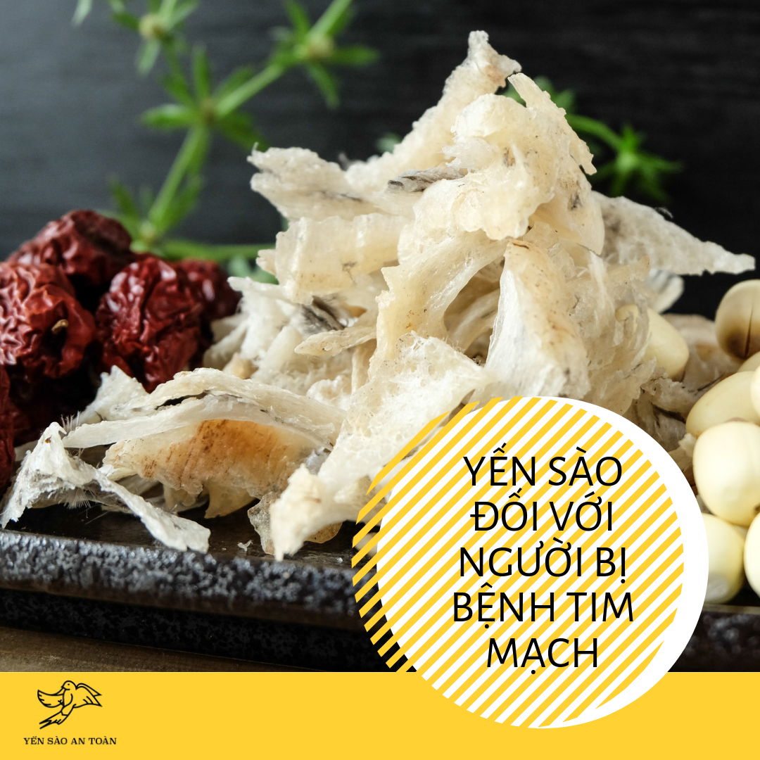 YẾN SÀO - GIẢI PHÁP CHO NGƯỜI BỆNH TIM MẠCH