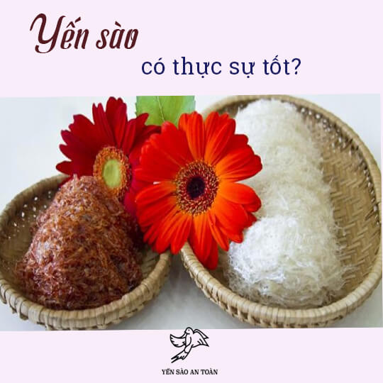 Những sự thật về yến sào bạn cần biết