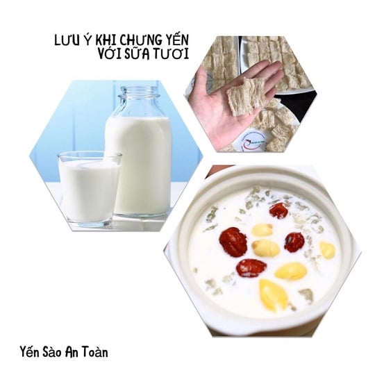 Tổ Yến Sào chưng sữa tươi - Sai lầm dễ mắc phải làm hỏng yến sào!