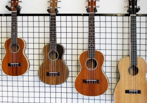 Lưu ý và giá đàn Ukulele cho người mới tập