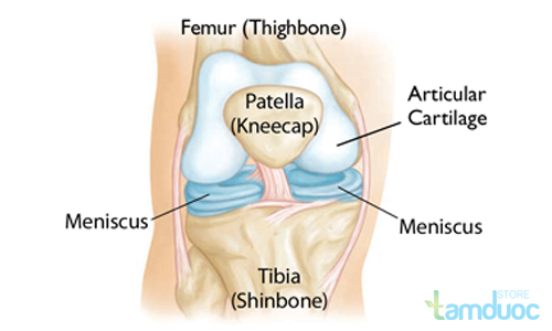 Tìm hiểu về bệnh viêm khớp gối
