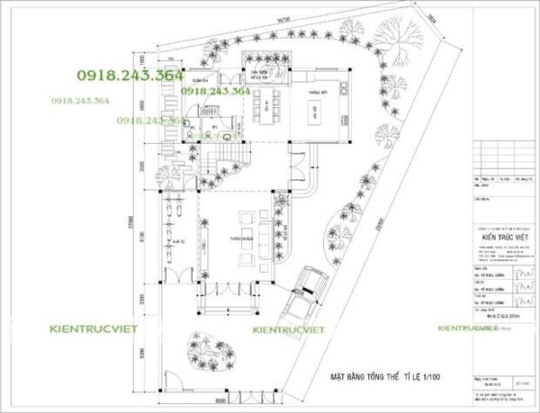 thiết kế sơ bộ 8mx22m