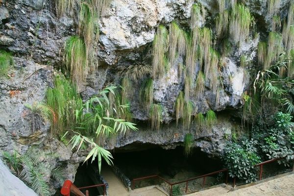 phong nha - kẻ bàng