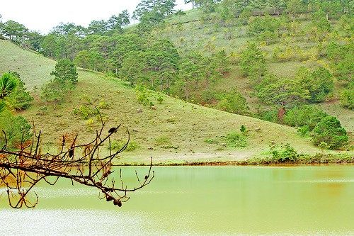 hồ dankia - suối vàng