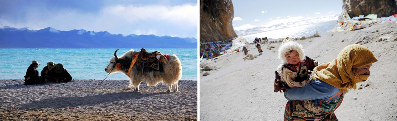 Viking Travel - Hành Trình Về Núi Himalaya - Tây Tạng - 5