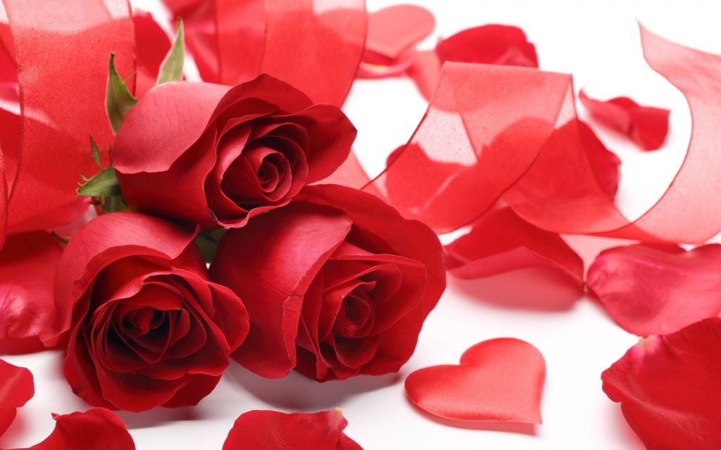 tại sao ngày Valentine người ta thường tặng hoa hồng và socola