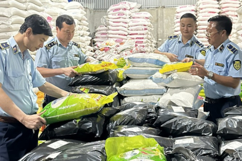 Sức mua gạo ST25 giảm trước thông tin bị làm giả