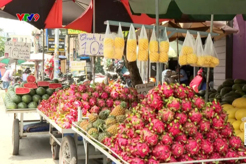 Gỡ khó cho thị trường trái cây