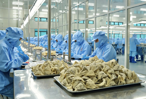 Yến sào giả, nhái, kém chất lượng tràn lan trên TikTok, Zalo, Facebook, không siết chặt sẽ