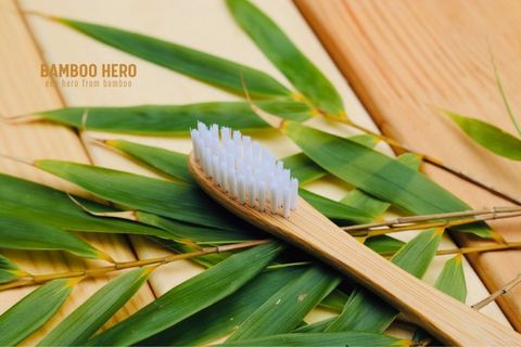 Một chiếc bàn chải đánh răng bằng tre tác động gì đến môi trường?