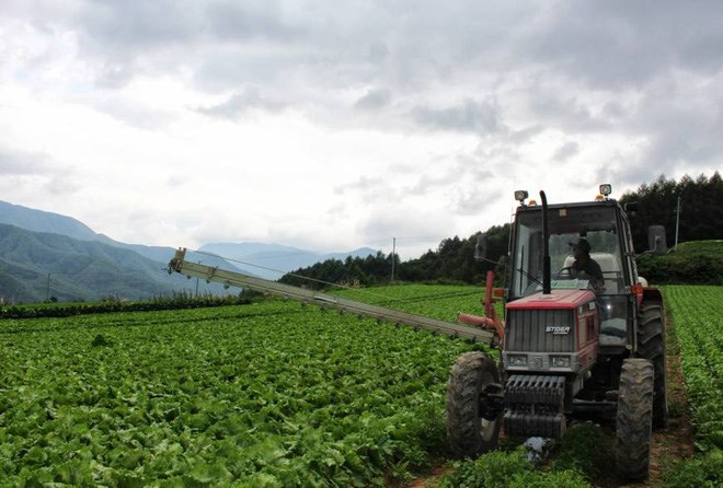 Làng thần kỳ Nhật Bản: Từ nghèo nhất nước tới thu nhập bình quân hơn 200.000 USD/năm nhờ trồng xà lách