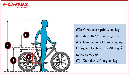Cách chọn xe đạp thể thao Fornix theo chiều cao dễ nhất