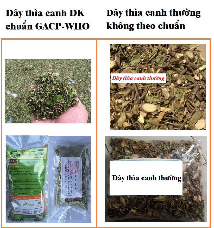 CÁCH PHÂN BIỆT DƯỢC LIỆU GIẢ TRONG ĐIỀU TRỊ TIỂU ĐƯỜNG