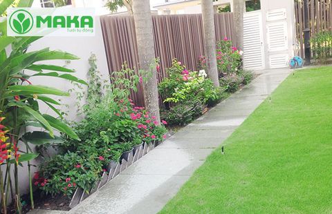 Dự án hệ thống tưới tự động mảng cỏ vườn anh Lộc Quận 9