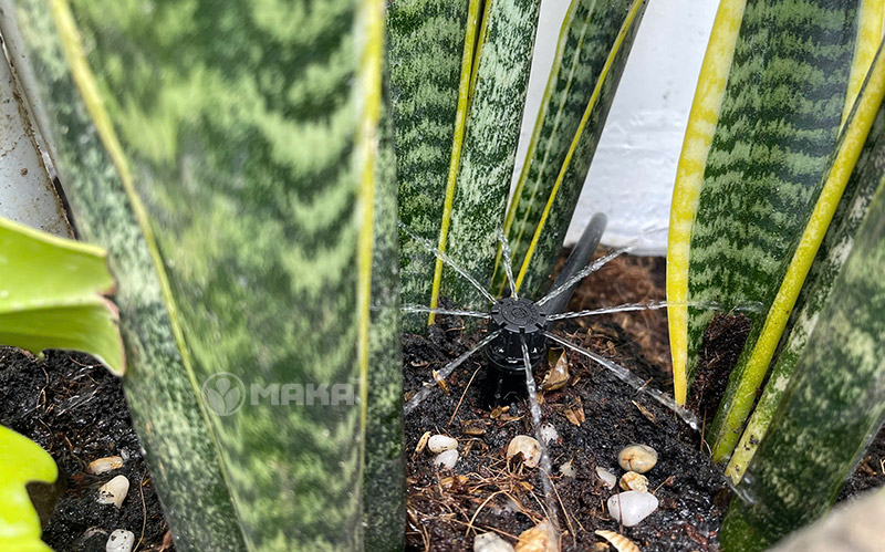 tuoi-tieu-canh-bang-bec-8-canh-antelco-1