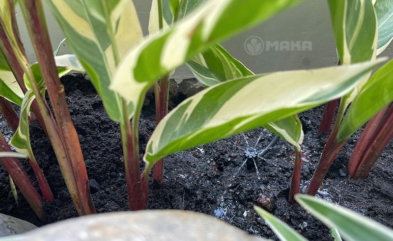 tuoi-tieu-canh-bang-bec-8-canh-antelco-2