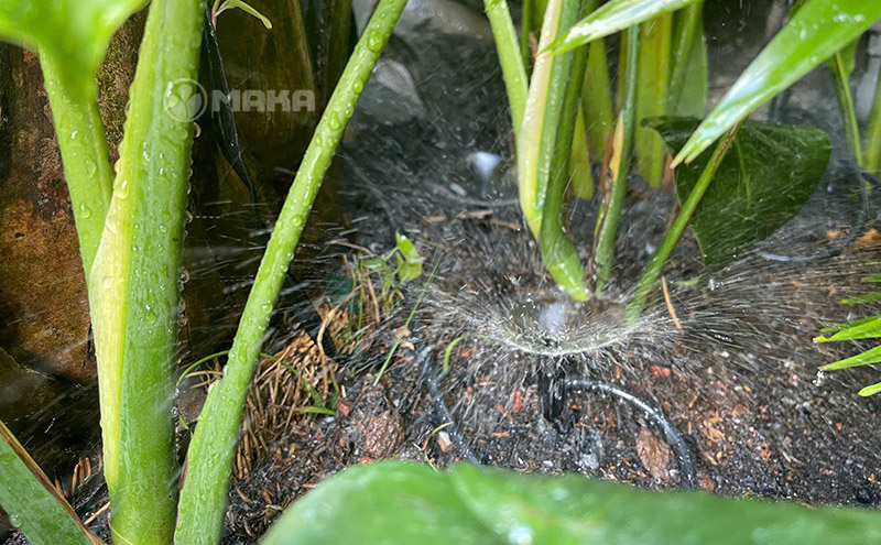 tuoi-tieu-canh-bang-bec-phun-mua-spectrum-antelco