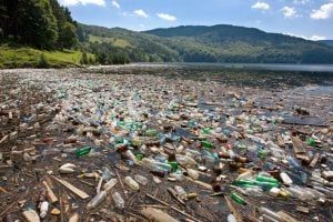 Chai nhựa gây ra một mối nguy hại lớn cho môi trường của chúng ta