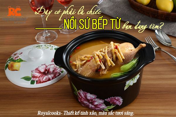 Đây có phải là chiếc nồi sứ bếp từ bạn đang tìm?