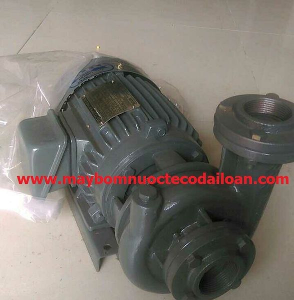 bơm teco đài loan, máy bơm nước teco đài loan nhập khẩu