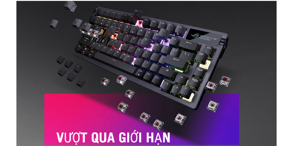 Hình ảnh sản phẩm