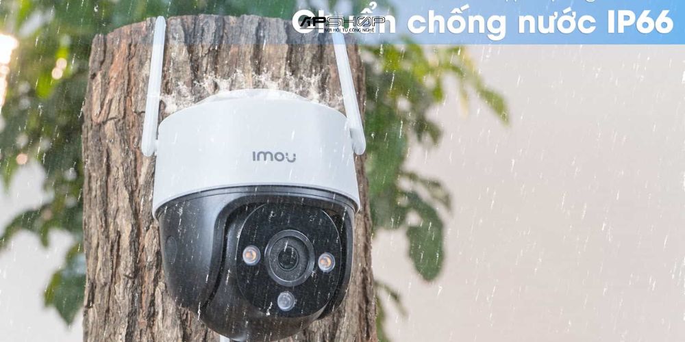 Hình ảnh sản phẩm