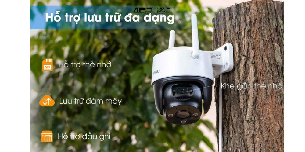 Hình ảnh sản phẩm