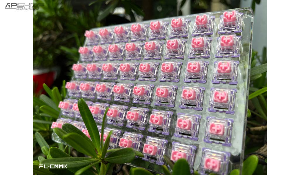 Hình ảnh sản phẩm