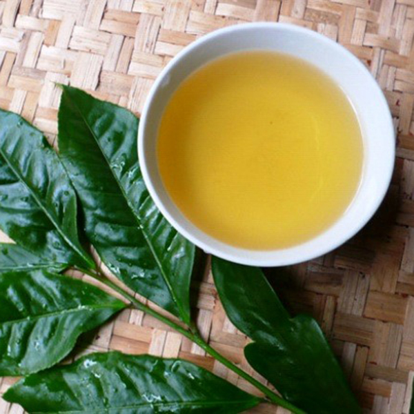 3 dòng trà phổ biến nhất tại Việt Nam