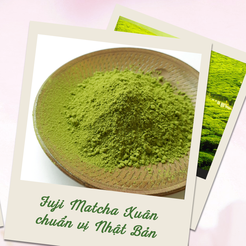 Fuji Matcha Xuân – Từ Lá Trà Tươi Non Đến Bột Matcha Hảo Hạng