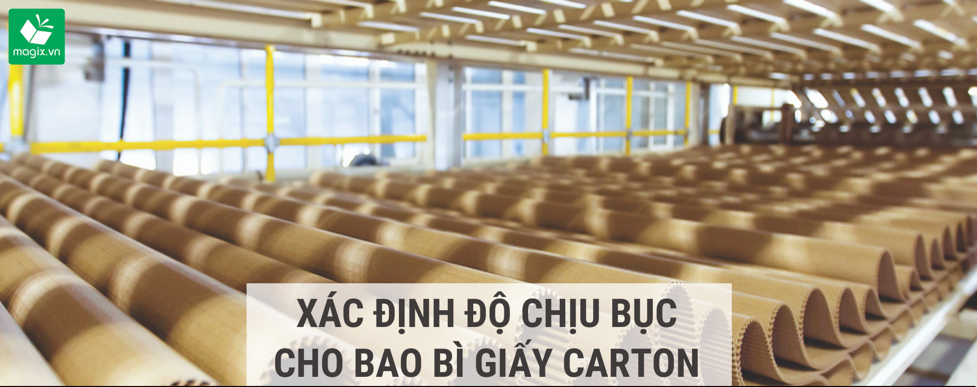 XÁC ĐỊNH ĐỘ CHỊU BỤC CHO BAO BÌ GIẤY CARTON