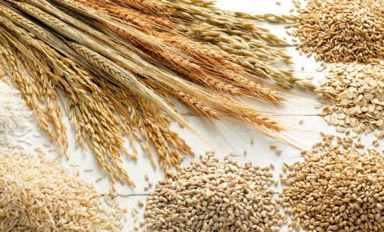 Cắt Hoàn Toàn Sữa Bò, Thay Bằng Sữa Hạt - Coi Chừng Con Thiếu Chất, Còi Xương