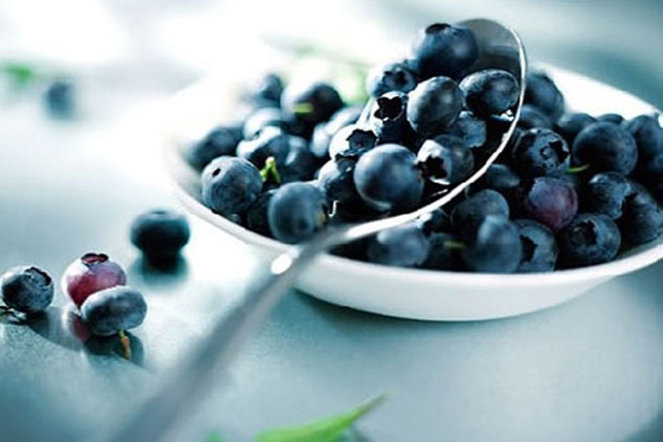 Việt Quất, Siêu Thực Phẩm Ăn Dặm Cho Bé