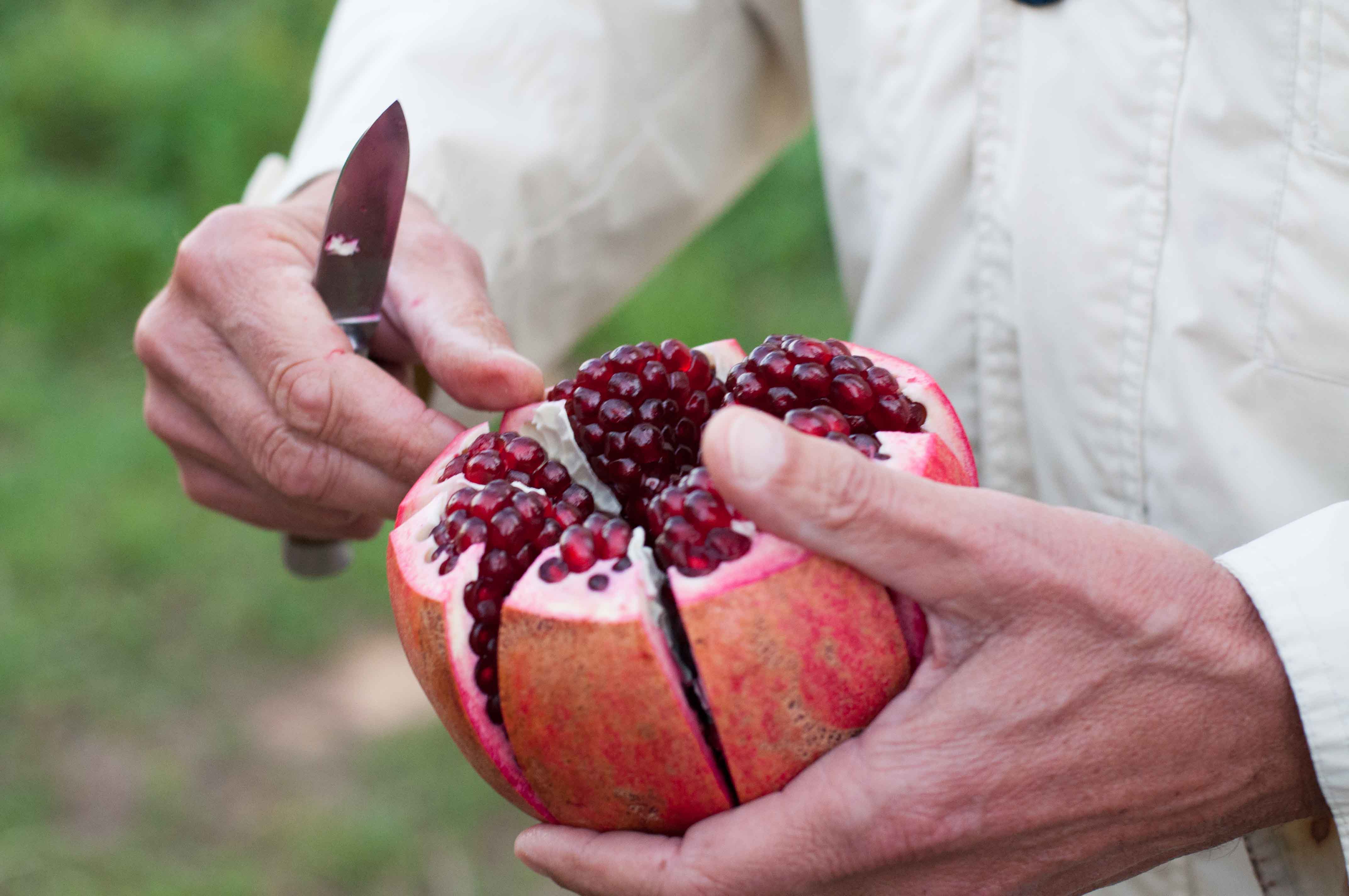 12 TÁC DỤNG KHÔNG NGỜ CỦA QUẢ LỰU