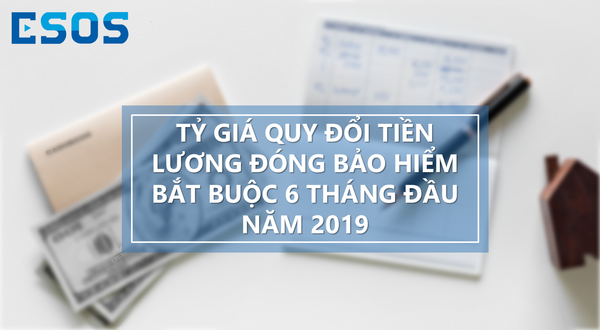 CAP-NHAT-TY-GIA-CHUYEN-DOI-TIEN-LUONG-6-THANG-DAU-NAM-2019