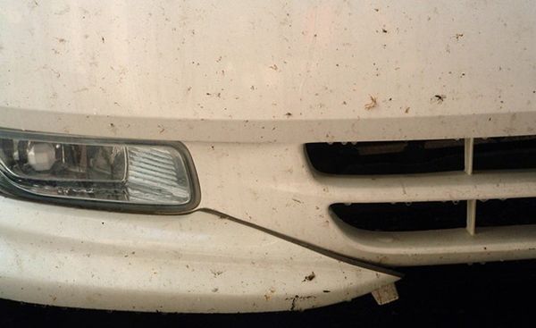 11 tác nhân gây hại bề mặt sơn xe không thể ngờ