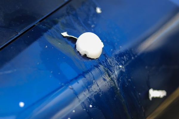 11 tác nhân gây hại bề mặt sơn xe không thể ngờ