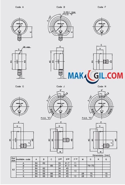 Đồng hồ đo áp suất WISE P258 0-0,6 bar (kPa, MPa)