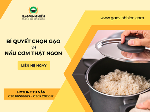 BÍ QUYẾT CHỌN GẠO VÀ NẤU CƠM THẬT NGON