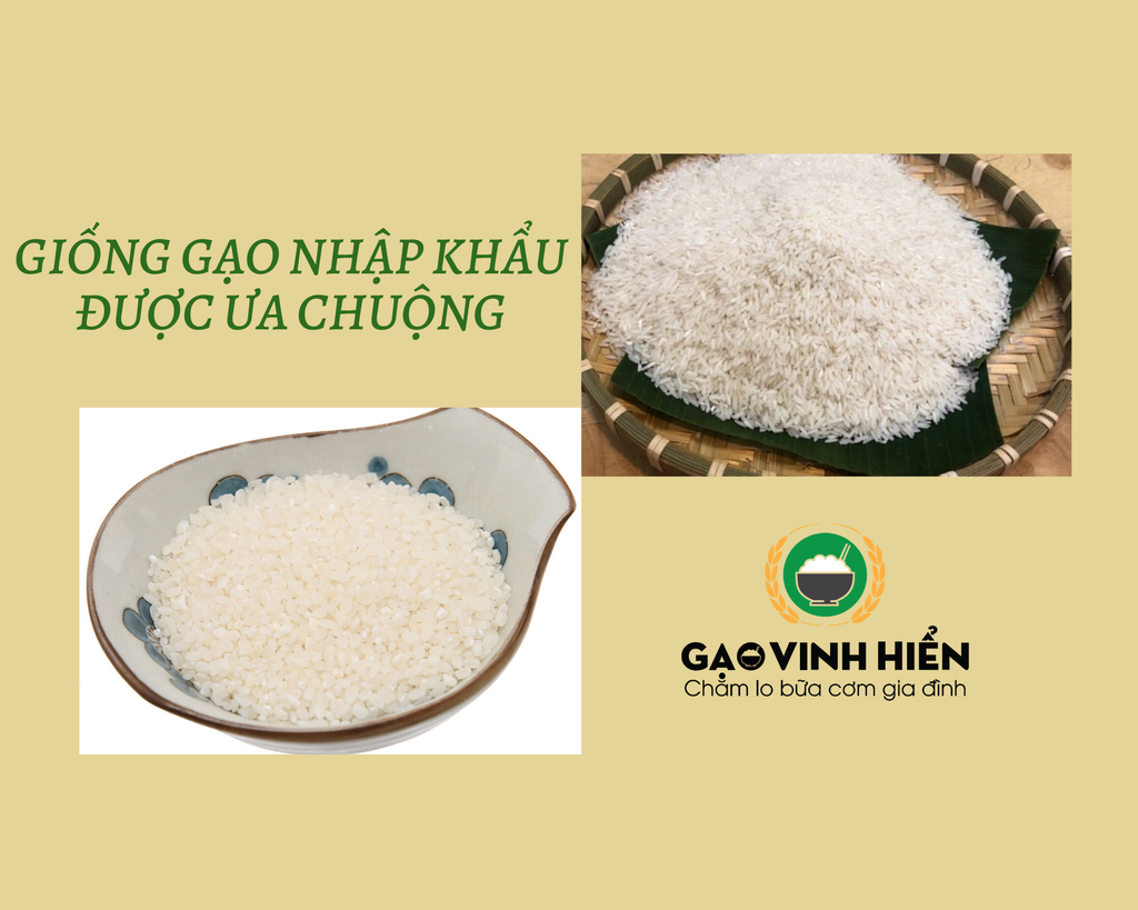 Đâu là loại gạo nhập khẩu được người Việt yêu thích nhất?