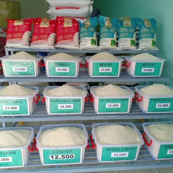 Thị trường gạo Tây Ninh chào đón đại lý gạo Quang Vinh