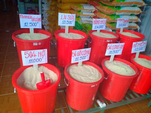 Cửa hàng gạo Anh Trọng cung cấp nhiều dòng gạo an toàn