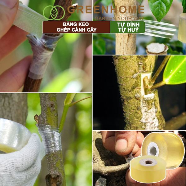 Băng keo ghép cành cây, tự dính, tự huỷ, bảo vệ mối ghép nhanh liền, nhiều kích thước |Greenhome