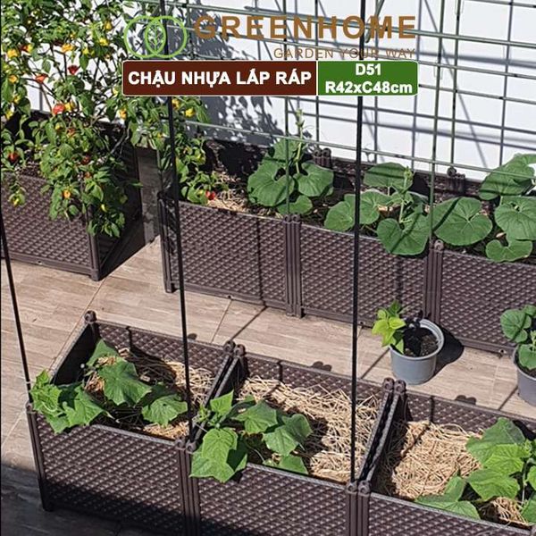 Chậu nhựa trồng rau Nhật Bản, Daim, D51xR42xC48cm, dễ lắp ráp, độ bền 5 năm |Greenhome