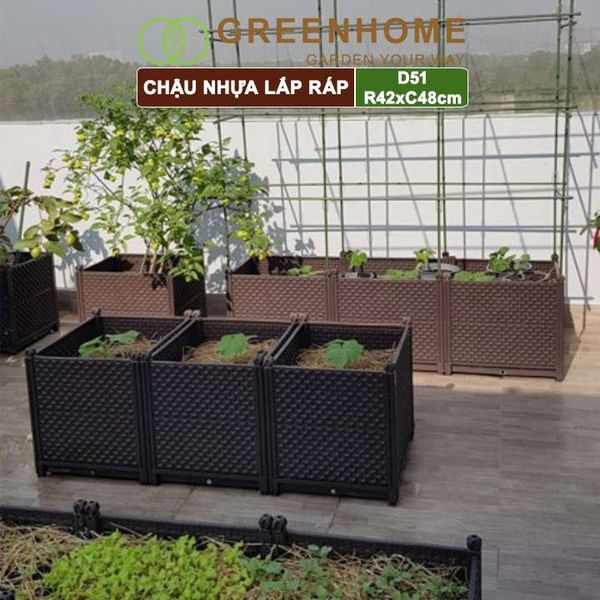 Chậu nhựa trồng rau Nhật Bản, Daim, D51xR42xC48cm, dễ lắp ráp, độ bền 5 năm |Greenhome