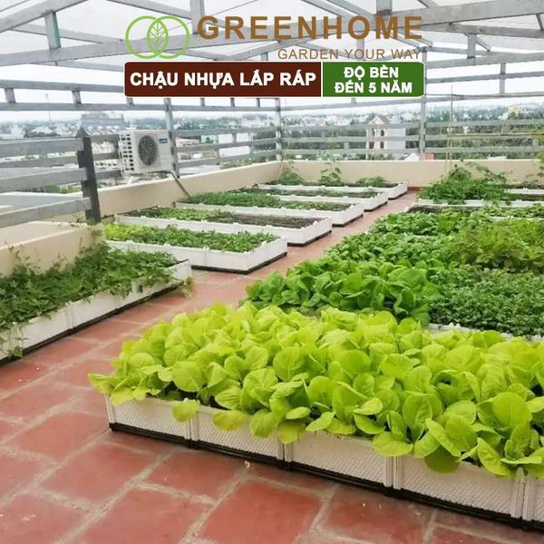 Chậu nhựa lắp ráp, trồng hoa hồng, cây leo, rau, củ, quả, độ bền 5 năm, nhiều kích thước lựa chọn |Greenhome