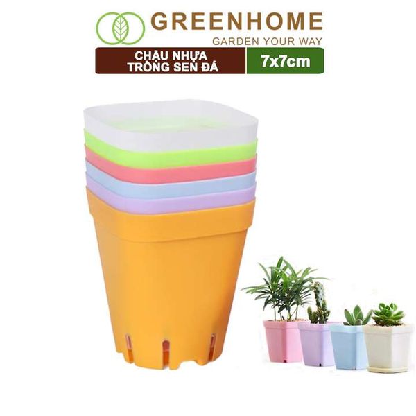 Chậu nhựa trồng sen đá, 7x7cm, bền, đẹp, màu sắc hiện đại, màu ngẫu nhiên, không dĩa Greenhome